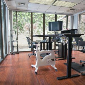 ergonomska pisarna domov